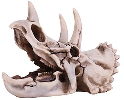 Dailygoods- Dinosaurus Schedel Model - Hars Dinosaurus - Decoratieve Craft - Onderwijshulpmiddel - Levensecht - Milieuvriendelijke Materialen - Dinosaurusschedel