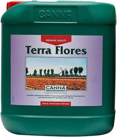 canna flores 5 liter