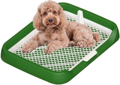 Hondentoilet Binnen - Puppy Potje - Zindelijkheidstraining Hond - Hygiënisch Ontwerp - 47 x 36 cm - Groen