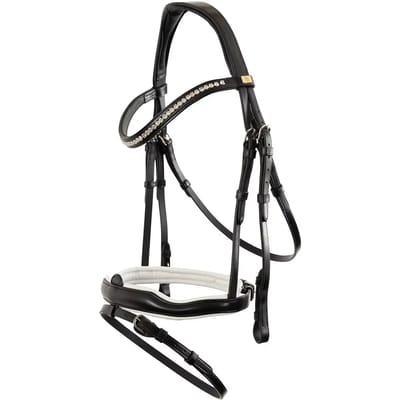 Anatomisch ruiterbit BR Equitation Stockport