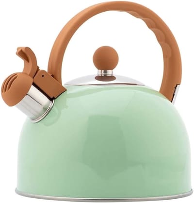 Waterkoker Fluitketel - Theepot Koken - Kamperen Buiten - Roestvrij Staal - 2.5 Liter - Groen