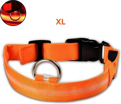 Nivard Lichtgevende Halsband - Verlichte Halsband - Lichtgevend - Hond - Kat - Lampje - Hondenhalsband Led - Oranje - XL