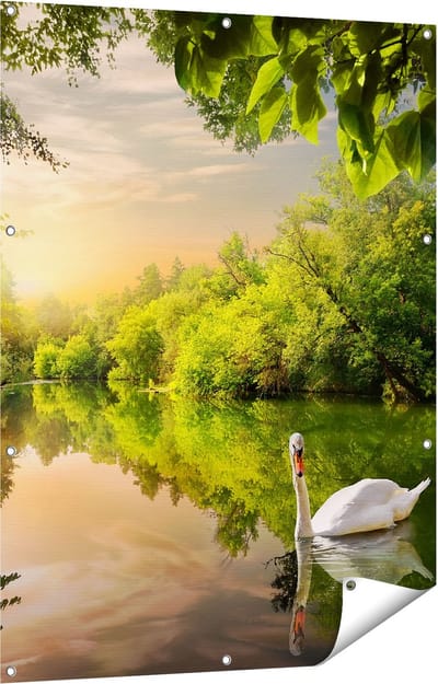 Gards Tuinposter Zwaan op het Water in het Bos - 90x120 cm - Tuindoek - Tuindecoratie - Wanddecoratie buiten - Tuinschilderij