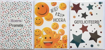 3 Wenskaarten - Hoera! Promotie + Gefeliciteerd + Hiep Hiep Hoera - 12 x 17 cm – BAA-301