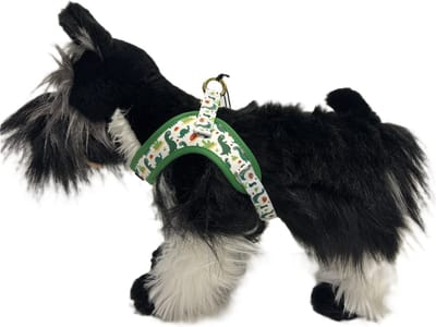 Cavlicious® Wag&Wonder hondentuigje kleine hond - hondenharnas - dinoprint - set met riem - S