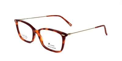 Safilo LINEA T 14 Havana gold 53/16/140 WOMAN Brilmonturen