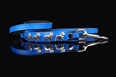 Dog's Companion - Leren hondenriem voor Franse Bulldog - Lengte: 125cm (16 mm), Kleur: Blauw / Zwart