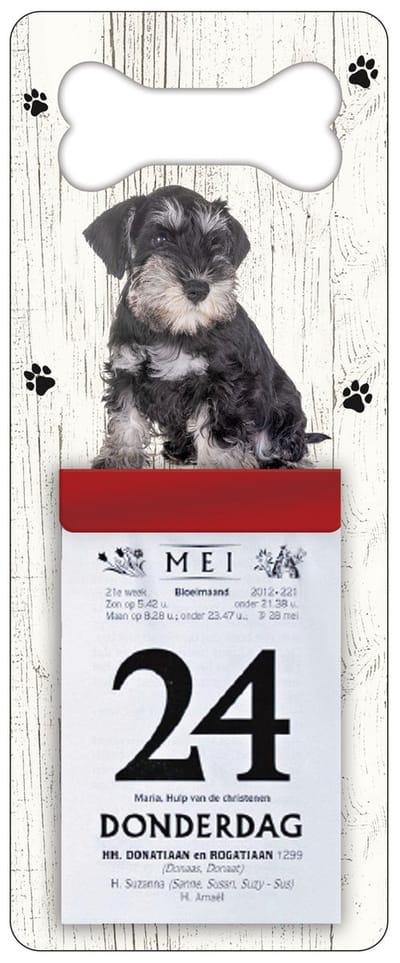 Scheurkalender 2027 Hond: Dwergschnauzer