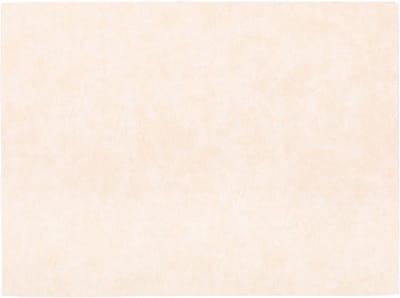 Placemat TROJA - SET/6 - kunstleer - 33x45 cm, crème