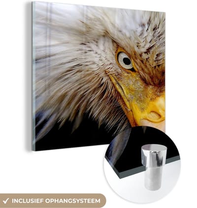 MuchoWow® Glasschilderij 50x50 cm - Schilderij acrylglas - Vogel - Oog - Snavel - Foto op glas - Schilderijen