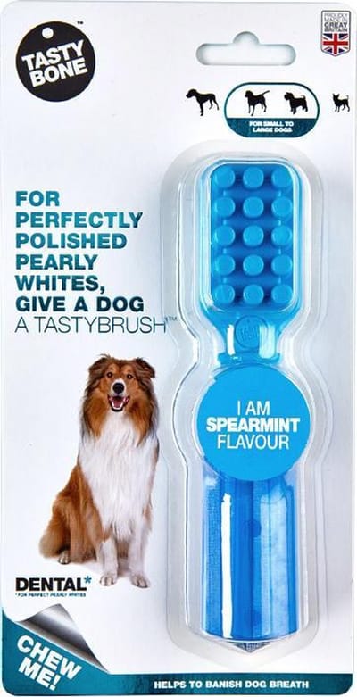 TastyBone - TastyBrush - Spearmint - Hond - Kauwspeelgoed - Vegan - Kluif - Nylabone