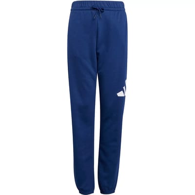 Adidas Essentials Big Logo Joggers Blauw 13-14 Years Kinderen
