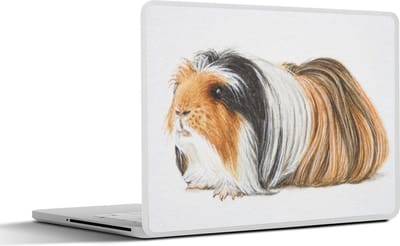 Laptop sticker - 17.3 inch - Een langharige cavia illustratie - 40x30cm - Laptopstickers - Laptop skin - Cover