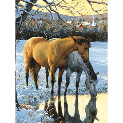 5D DIY Volledige Ronde Diamant Borduurwerk Sneeuw Twee Paarden Diamant Schilderen Kruissteek Strass 20X30CM gray