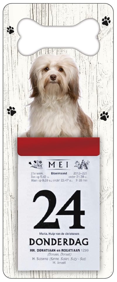 Scheurkalender 2027 Hond: Havanezer