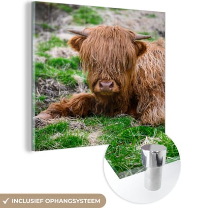 MuchoWow® Glasschilderij 50x50 cm - Schilderij acrylglas - Schotse Hooglander - Hooi - Gras - Foto op glas - Schilderijen
