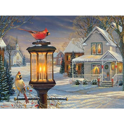 5D DIY Diamond Painting Kerstvogels Borduurmozaïek Kruissteek Strass Decoratie 20X30CM gray