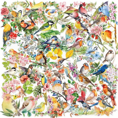 Meer Leuks - Transparante Stickers Vogels - 50 stuks - Bird Sticker