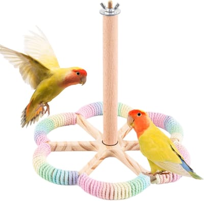 Vogel Snoepstok - Draaimechaniek Speelstok - Vogelkooi Verrijking - Interactief Draaien - 21x21x20cm