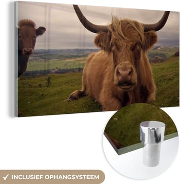 MuchoWow® Glasschilderij 40x20 cm - Schilderij acrylglas - Schotse Hooglander - Dieren - Berg - Foto op glas - Schilderijen