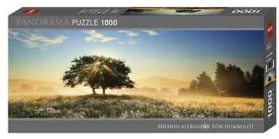 Heye puzzel panorama Play of Light 1000 stukjes landschap.
