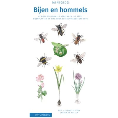Bijen En Hommels Set 3 Ex - Minigids - Maureen Kemperink
