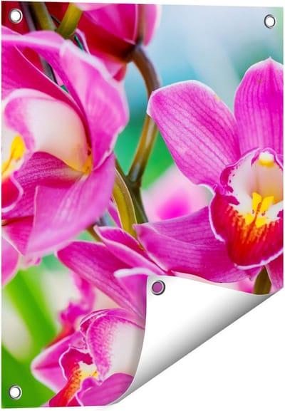 Gards Tuinposter Licht Paarse Orchidee Bloemen - 40x50 cm - Tuindoek - Tuindecoratie - Wanddecoratie buiten - Tuinschilderij