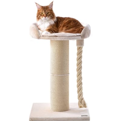 Jake and Jacky Krabpaal voor Grote Katten met Mand - Met Speeltouw - Naturel/Crème - 57x57x90 cm - Ø Sisal Krabpaal 20 cm