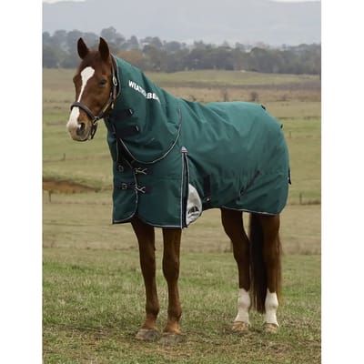 Afneembare buitendeken voor paarden met hals Weatherbeeta Comfitec Plus Dynamic 100g