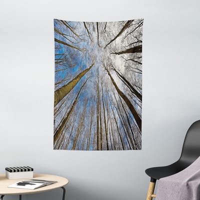 ABAKUHAUS Landschapswandtapijt, Wolken Ochtendscène, Woonkamer Slaapkamer Wanddoek Zijdezacht Satijn Wandtapijt, 100 x 150 cm, Bruinblauw