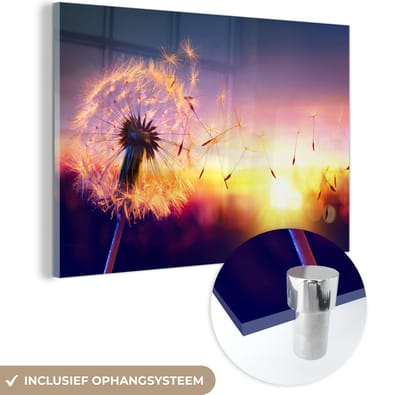 Glasschilderij - Schilderij bloemen - Paardenbloem - Bloemen - Zonsondergang - Natuur - Acrylglas - Wanddecoratie natuur - Foto op glas - Glazen schilderij - 150x100 cm - Schilderijen woonkamer