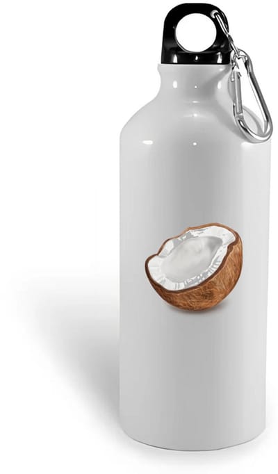 Hacebo® - Kokosnoot waterfles - Fruitschaal - fruit liefhebbers - Kokos - vrucht - gezond eten - water fles - 400ML