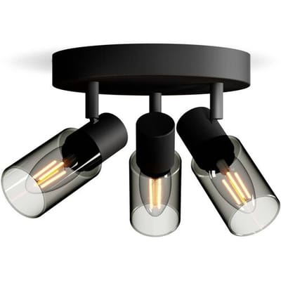 Philips Palms Spot - Plafondspot met drie lichtpunten - Met gerookt glas - Kleine fitting E14 - Ronde basisplaat