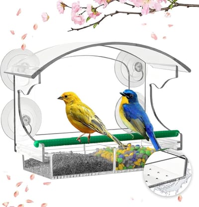 Vogelhuisje Raamvoederhuis - Transparant - Zuignappen - Afvoergaten - Afneembare Voerdispenser
