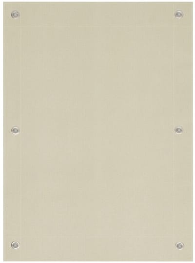 Damenzo - Zonwering met zuignappen - Zonwering - Verduisteringsdoek - Dakraam - 100% Verduisterend - 60x93 cm - Beige - Polyester