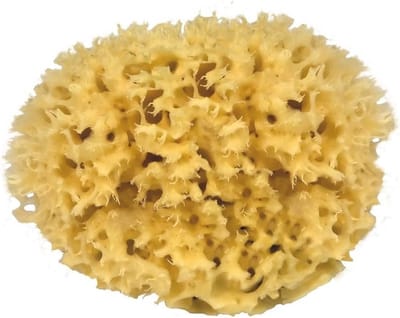 natuurspons uit de Middellandse Zee, mediumkwaliteit, grootte 13 cm, natuur