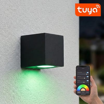 SMART LED Wandlamp | Tuya / WiFi | San diego | Incl. lichtbron | Zwart