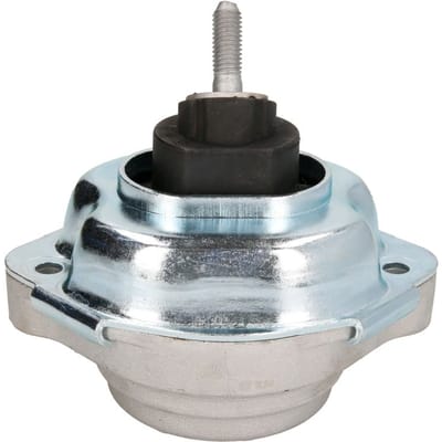 Motorsteun REINHOCH RH11-3061 Links