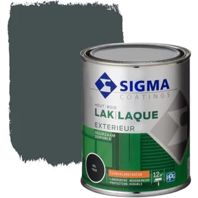 Sigma Exterieur Lak Ral7016 Zijdeglans 750ml