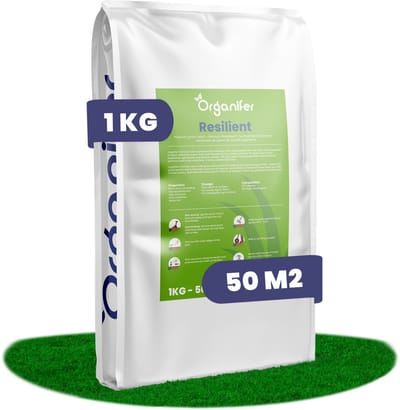 Herstelgazon Graszaad Snelkiemend (1kg, 50m2) Organifer - Gazonzaad - Graszaad Herstel en Doorzaai - Herstel Graszaad - Gazon Herstel - Graszaden voor Alle Gazontypes - Zelfherstellend - Hoge Betredingstolerantie - NAK Gecertificeerd