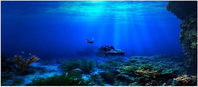 Waterdichte PVC Poster voor Aquarium Achtergrond - Zelfklevend Decor voor Visbak (122x46cm)
