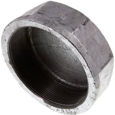 Rp 4'' Verzinkt Gietijzeren Afsluitkap 25 Bar - FL1-F-IZ-400R-E