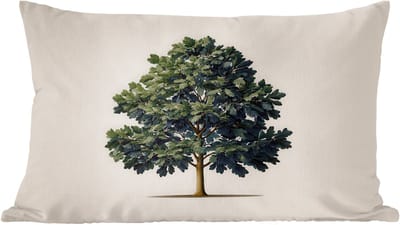 Sierkussens - Kussentjes Woonkamer - 60x40 cm - Eikenboom - Schaduw - Egaal