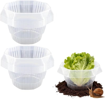 Groentebeschermers - 10 Stuks - Plantenhoes - Slakkenring - Slakkenringen - Beschermingshoezen Tegen Ongedierte - Ongediertewering - Bescherming Planten - Tuinbeschermingskoepels - Beschermhoezen Voor Planten - Transparant