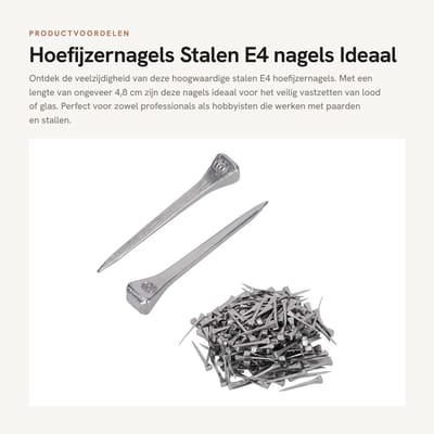Dailygoods- Hoefijzernagels 250 stuks - Stalen Nagels - Gebrandschilderde Nagels - Vierkante Kop - Voor Paard - 4,8 cm Lengte - Paardennagels