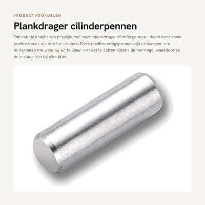 Dailygoods- Plankdrager - Cilinderpennen - Roestvrij Staal - Positioneringspennen - 100 Stuks - Duurzaam en Corrosiebestendig - Positioneringspen
