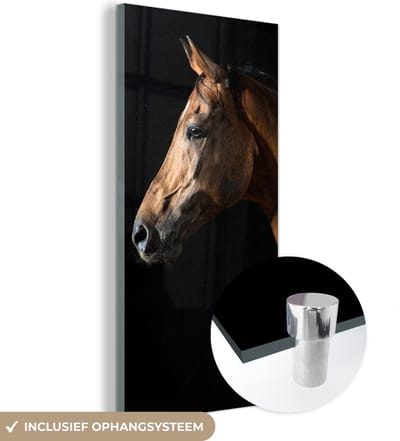 MuchoWow® Glasschilderij 60x120 cm - Schilderij acrylglas - Paard - Dieren - Nacht - Zwart - Foto op glas - Schilderijen
