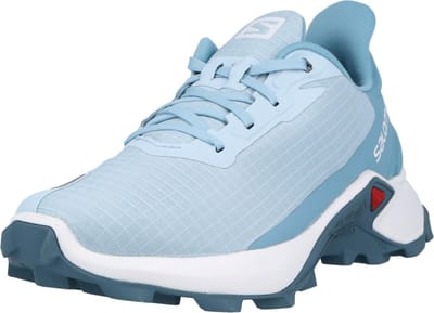 Salomon lage schoen alphacross Wit-6 (39)