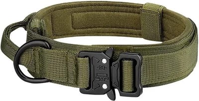 DreamPawz - Hondenhalsband - Tactical Halsband - Geschikt voor iedere hondenriem - Voor middel en grote honden - Hals 36 - 48 CM - Groen - M