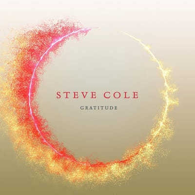 Gratitude - Steve Cole